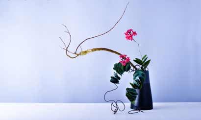 太阳星座上升星座月亮星座哪个准？