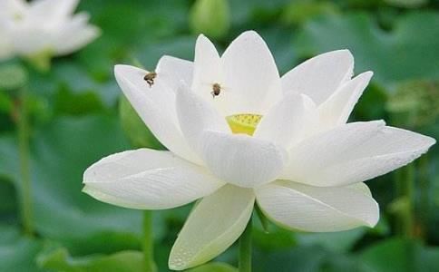 七月鼠男的命运怎么样？