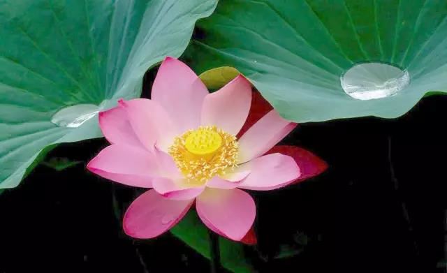 化解八字寡宿的方法 保证生活过得更加顺利幸福