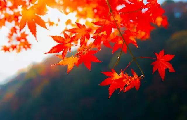 如何正确处理好人际关系 处理好人际关系 才能得到好的人缘