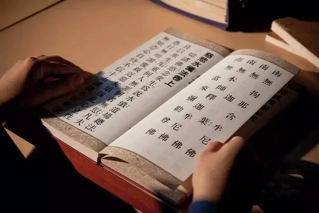 客厅摆什么植物好客厅摆什么植物好看又旺财