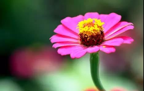 超度婴灵仪轨帮你摆脱堕胎的噩梦