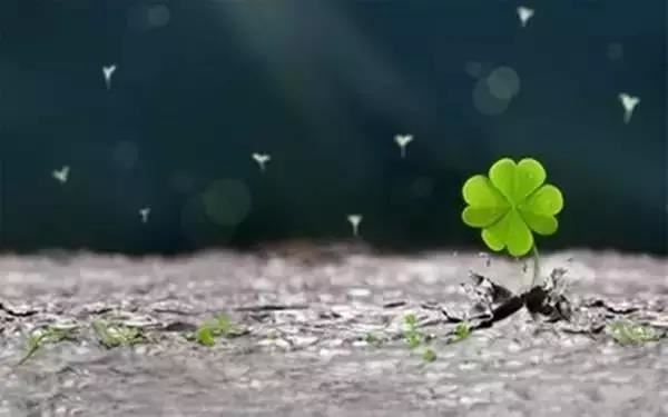 容易引起精神病的风水 是前世有阴债的原因导致的吗