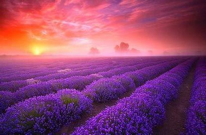 祭拜的时候，酒和食物真的会有东西来吃吗