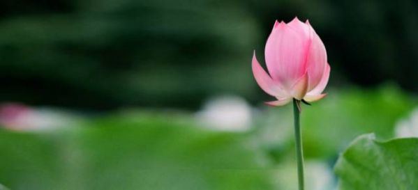 如何确定命犯驳婚煞八字犯婚姻煞怎么办