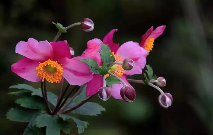 如何改善人际关系的方法？社恐人士有救了