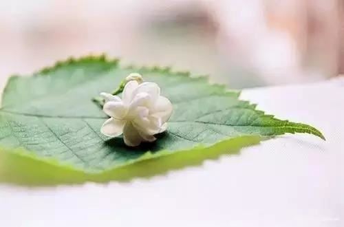 最简单的办公室事业开运秘法，让你事业红红红红