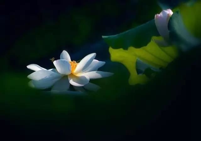 人去世超度比较好的时间，千万不要超过了这个时间