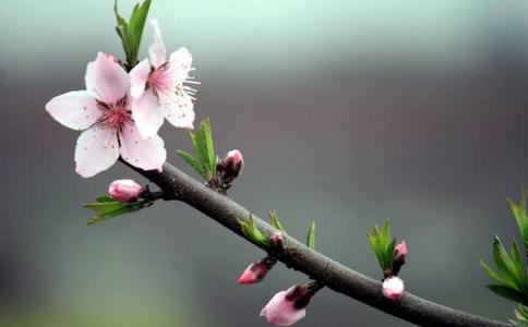 久病不愈暴躁，疾病更加难化解