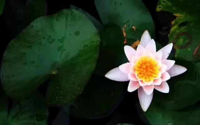 人与人之间要建立关系的原因，人和人是需要沟通的