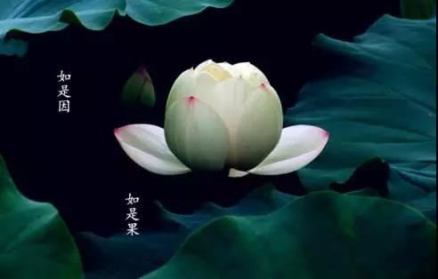 自己还阴债怎么打表文，不及时还阴债有什么后果？