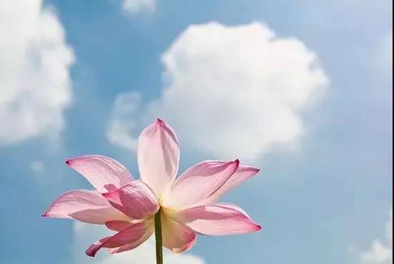 农历三月十八日道教王祖王处一圣诞，农历三月十八日玉阳真人诞辰