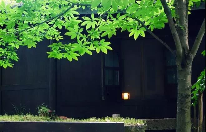 家中老人常常念叨的一元硬币招财方法大全集