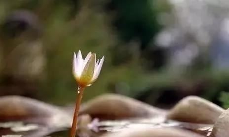 星座几岁最漂亮