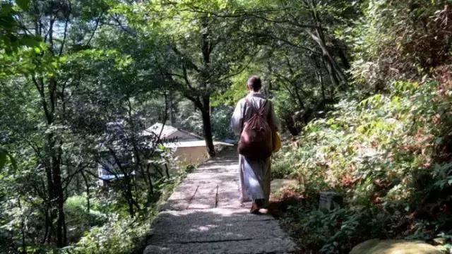 95年2月份出生属什么生肖？