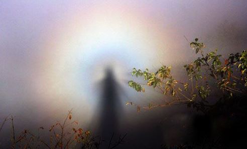 什么是风水轮 风水轮真有招财的效果吗