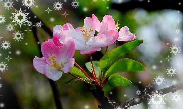 风水屋角煞该怎么去化解 一试就灵的几个方法