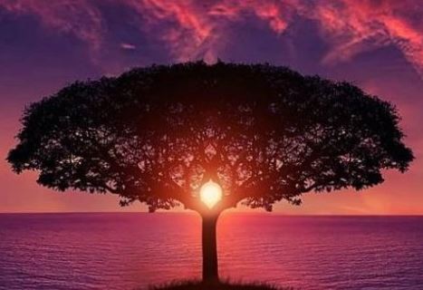 改运开财库补财方法 让你的钱财源源不断的来