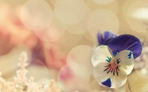 死胎的孩子和父母的缘不够深