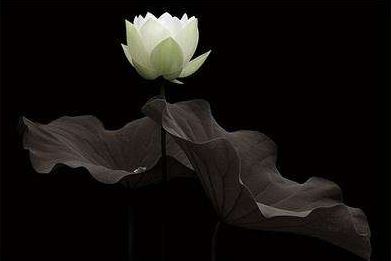 在家居士超度收费