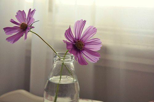 最聪明的月亮星座,它是掌控全局的高手？