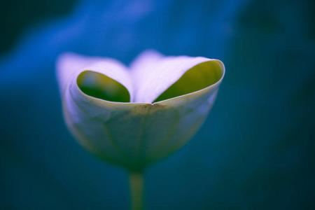 12星座里哪些星座配对是悲剧的,你知道吗?