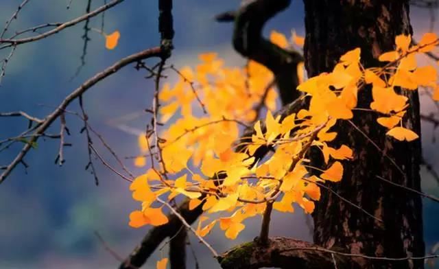 童子命化解后没有起效，来看如何化解童子命对于我们的影响