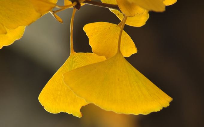 从星盘相位看你的前世今生?