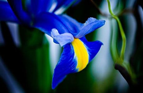 分析八字喜忌 女命日坐劫财的婚姻情况