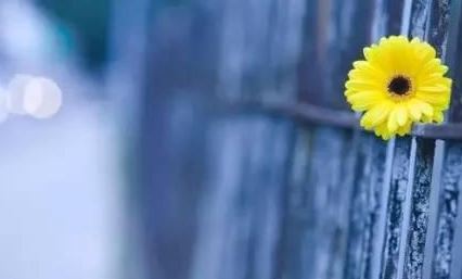 童子命常犯的关口有哪些？童子命常犯的五个关口详解