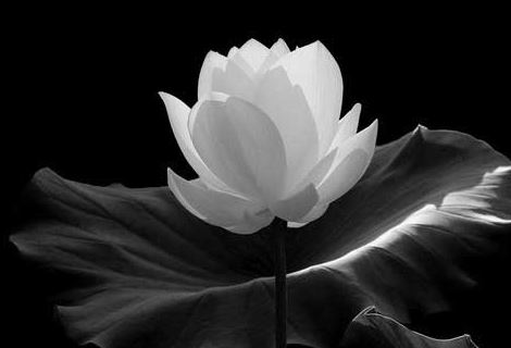 如何超度堕胎婴灵，大师在线教你如何做