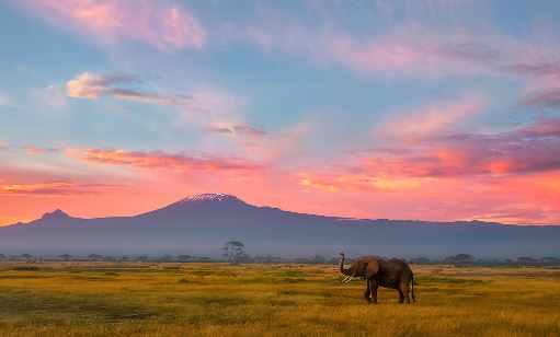 打胎的女人有因果报应 男人一样也要承受因果业报