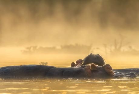 基础占星:第九宫详解(组图)！