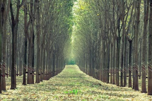 代表好运财运的字，用了就能财源滚滚，事业亨通