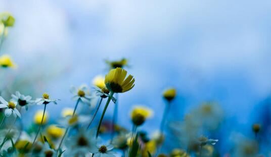 能当大官的出生时辰，这3个时辰出生的人官运是很不错的