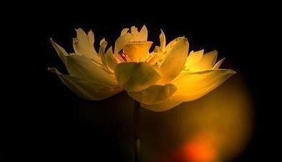 让你立马暴富的风水，家里这样布置风水会很好