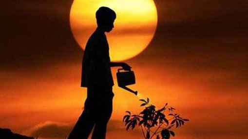 那些日常生活之中就能够使用的饿木改运法