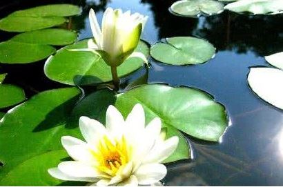 道家法事开财库，用来提升财运