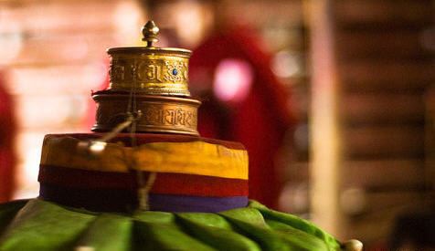 通过种生基李连杰改运，种生基福地在广西