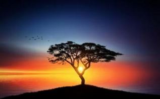 不为人知的招姻缘道教法术，帮你摆脱单身狗的