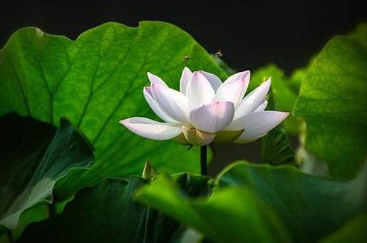 交际与口才哪一个更重要，很多人都搞错了