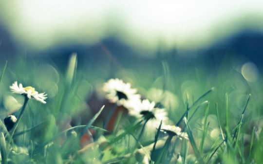 童子命是真的还是迷信？命犯哪五关