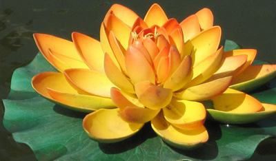 十二星座中，徘徊于友情与爱情的星座组合！