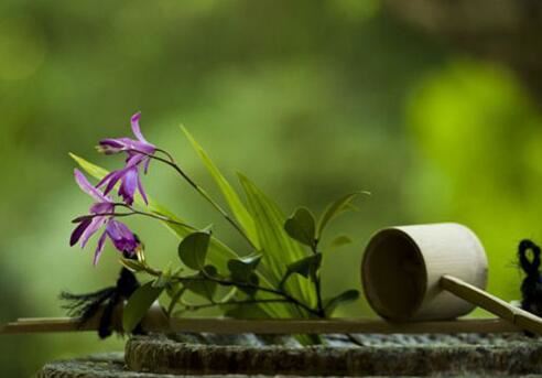 我同事做了人流后感觉事事都不顺