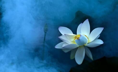 不同季节出生的属鼠人命运有什么不一样的特点呢?每个季节出生的生肖鼠，都有自己不同的命理