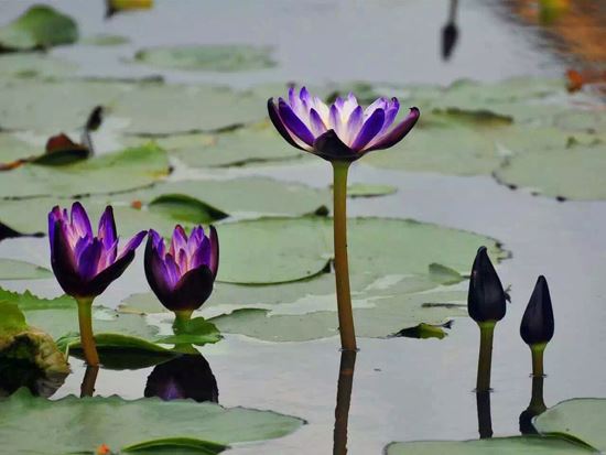 劳碌命的人八字特征 不是在操心就是在操心的路上