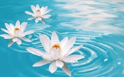 请财神符不能随便请，想要请符咒要看八字了