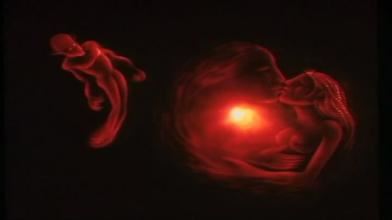 办公室催官风水布局4大招，掌握了，升官发财指日可待