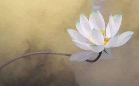 民间招财转运秘法，催财很有效的方法