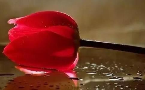 童子命天天倒霉 只要化解也能有好运势